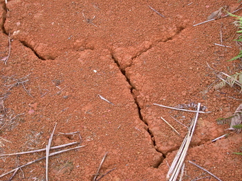 Cracks.1.JPG